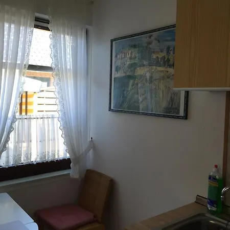 Austernfischer I Боркум