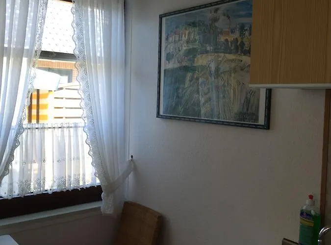 Austernfischer I בורקום